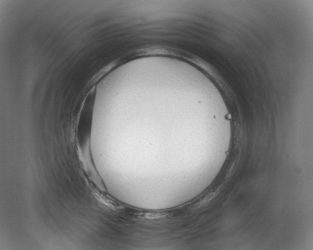 X0000078840857200612111553