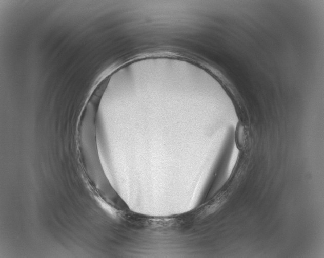 X0000078840858200612111553