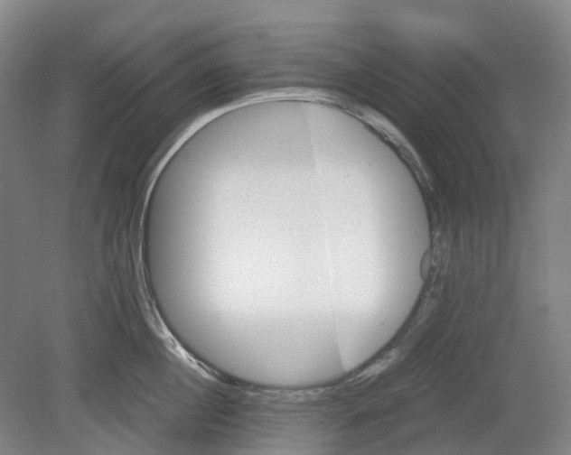 X0000078840860200612111554