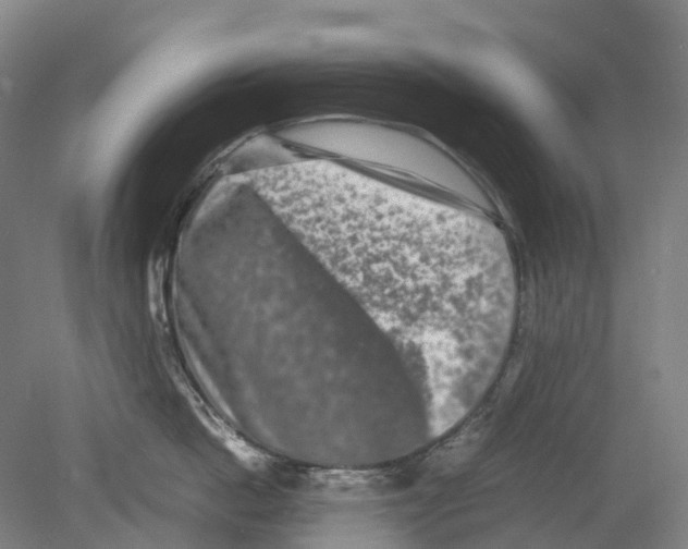 X0000078840862200612111554