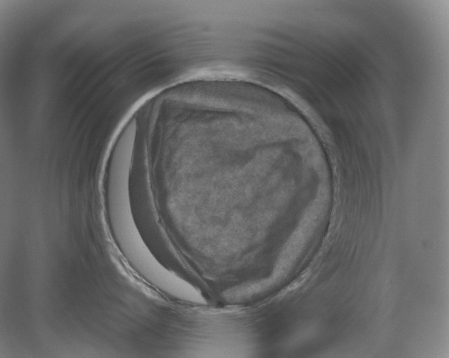 X0000078840864200612111554