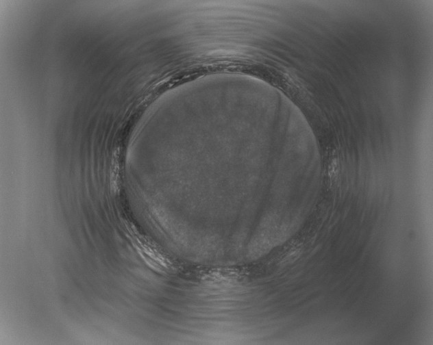 X0000078840868200612111553