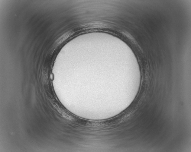 X0000078840873200612111553