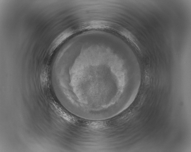 X0000078840874200612111553