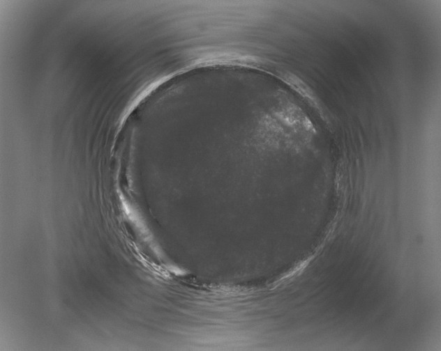 X0000078840877200612111553