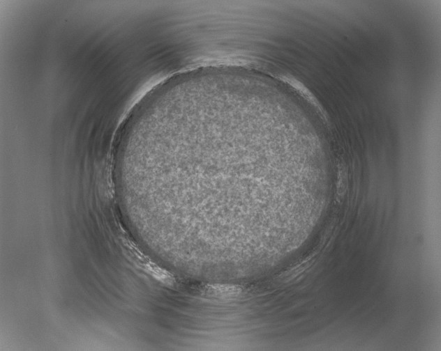 X0000078840878200612111553