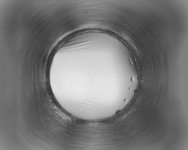 X0000078840880200612111553