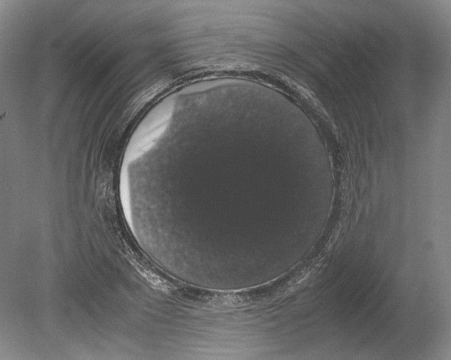 X0000078840881200612111553