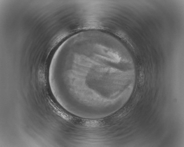 X0000078840882200612111553