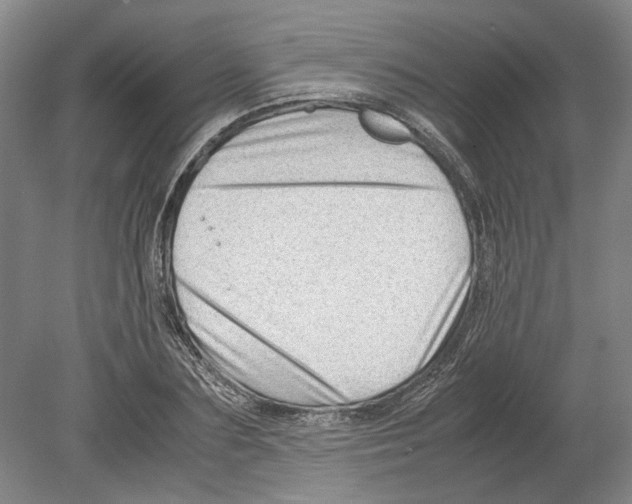 X0000078840883200612111552