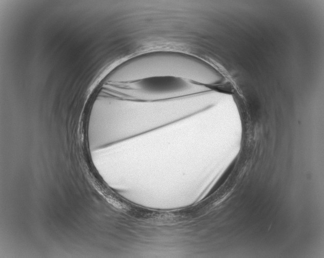 X0000078840885200612111552