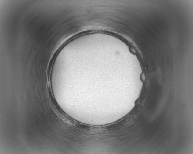 X0000078840887200612111552