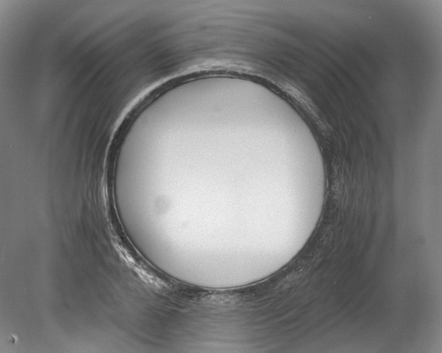 X0000078840888200612111552