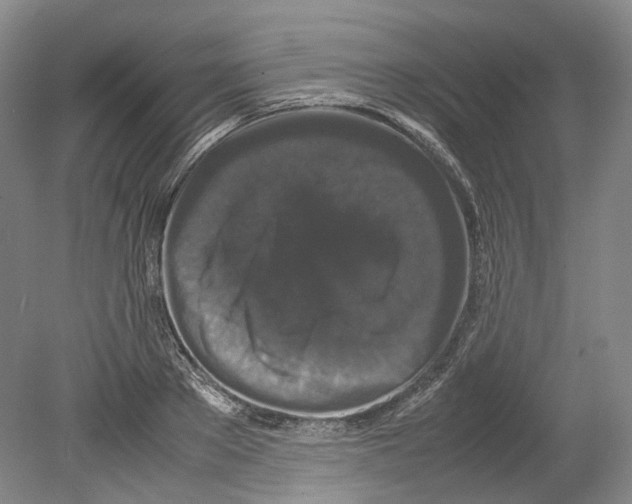 X0000078840889200612111552