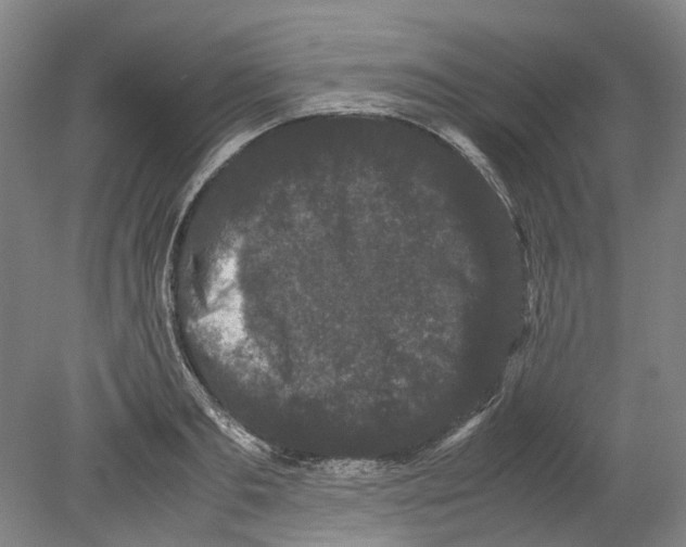 X0000078840893200612111552