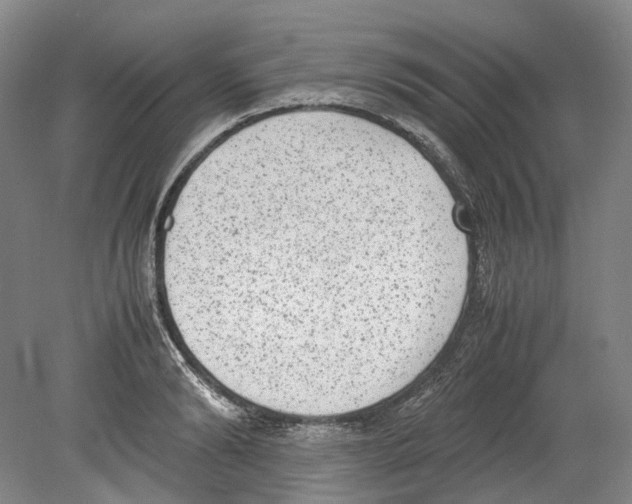 X0000078840894200612111552