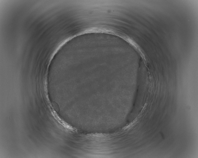 X0000078840896200612111552