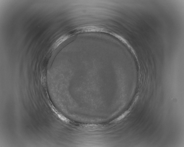 X0000078840897200612111552