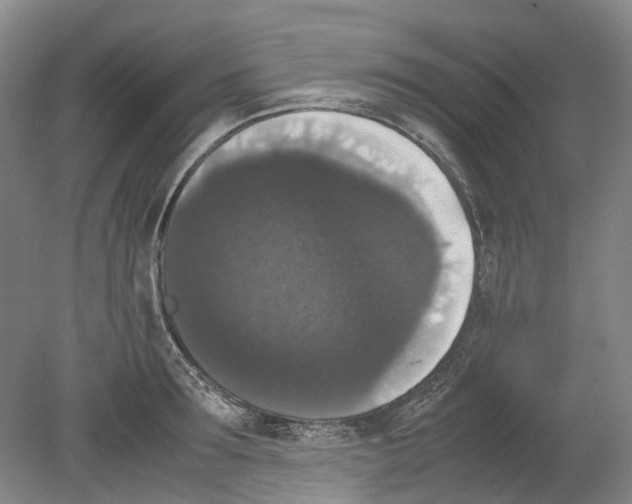 X0000078840899200612111552