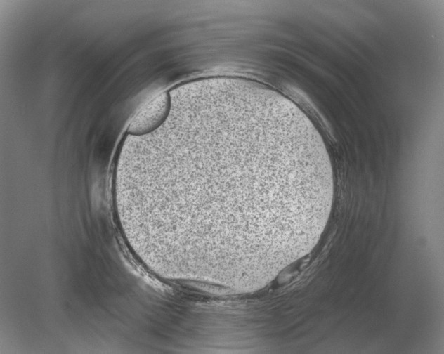 X0000078840900200612111552