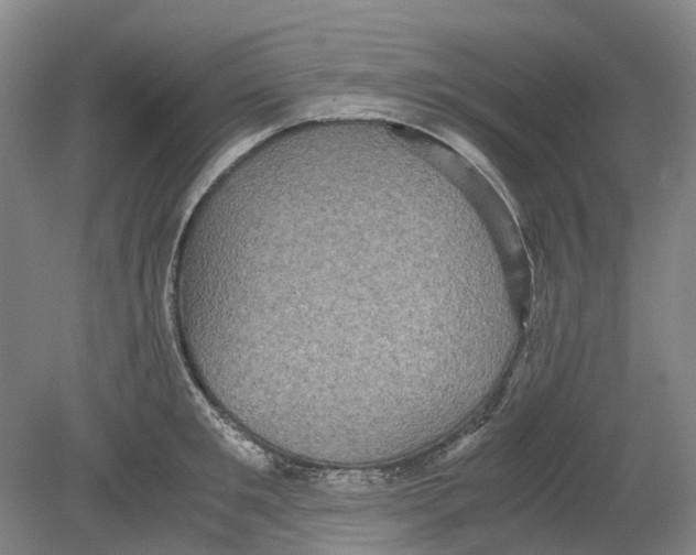 X0000078840901200612111552