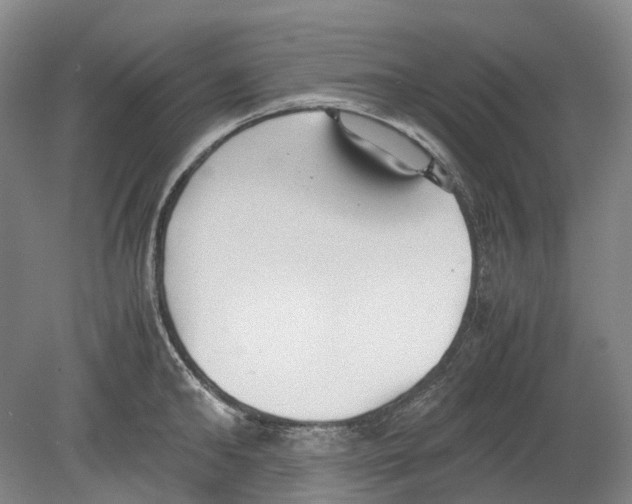 X0000078840902200612111552