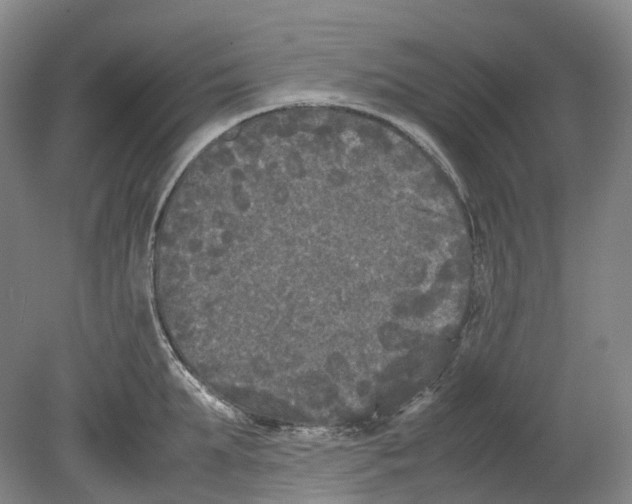 X0000078840903200612111552