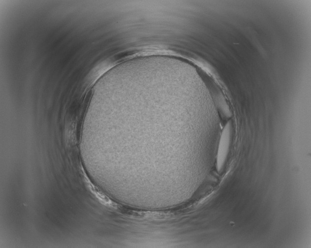 X0000078840905200612111552