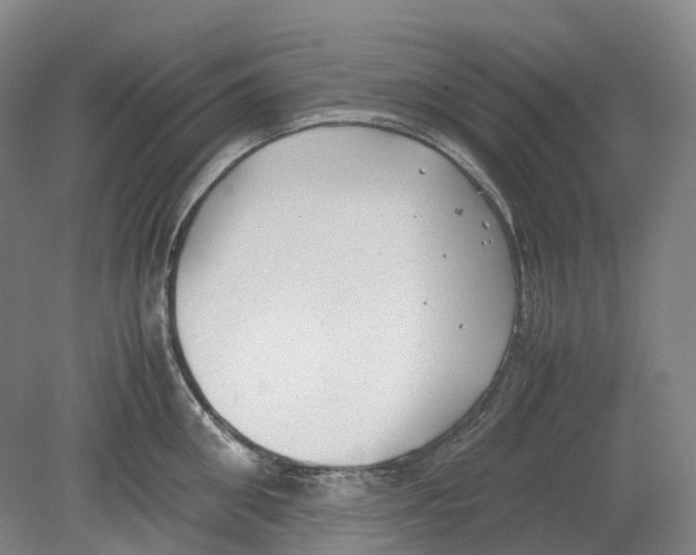 X0000078840906200612111552