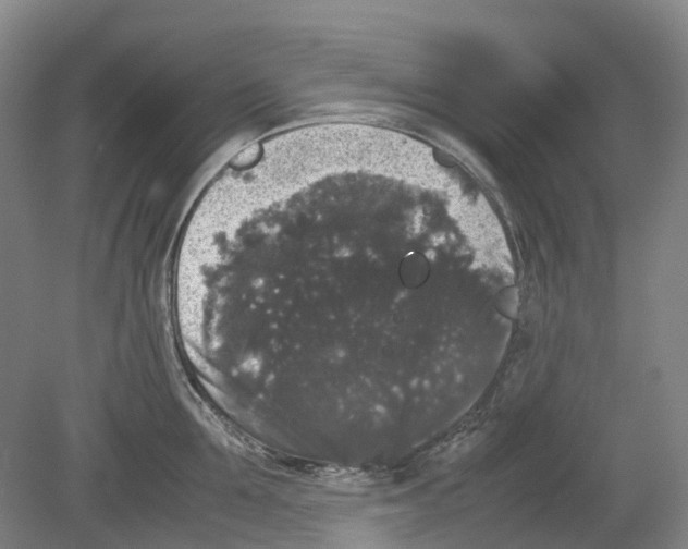 X0000078840907200612111552