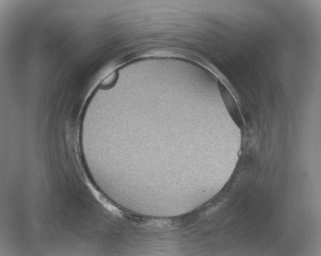 X0000078840909200612111552