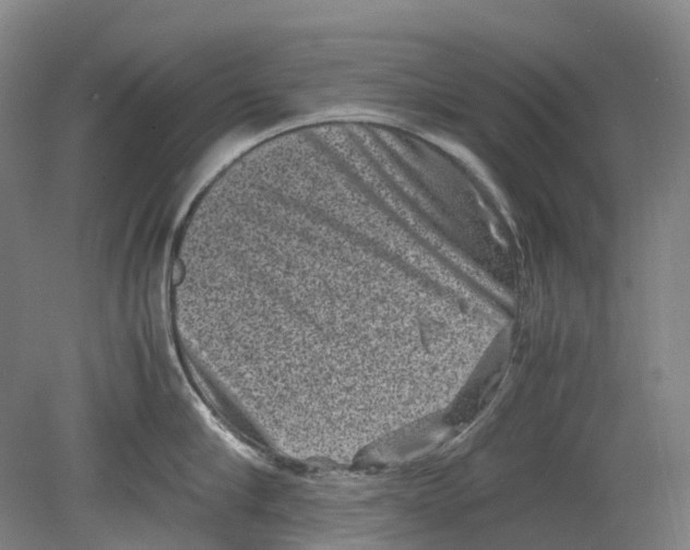 X0000078840910200612111552