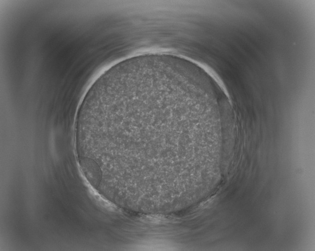 X0000078840911200612111552