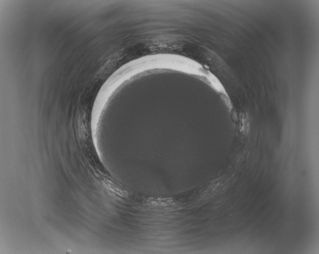 X0000078840915200612111551