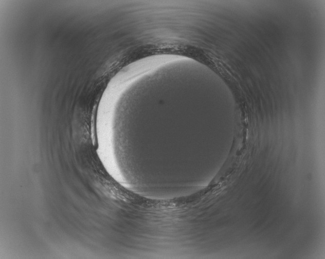 X0000078840916200612111551