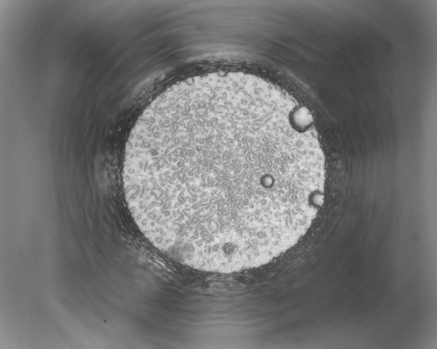 X0000078840918200612111551