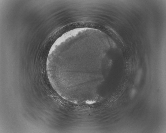 X0000078840919200612111551