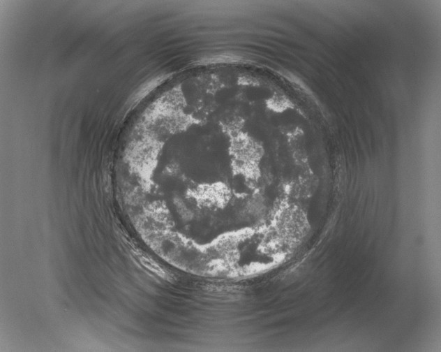 X0000078840921200612111551