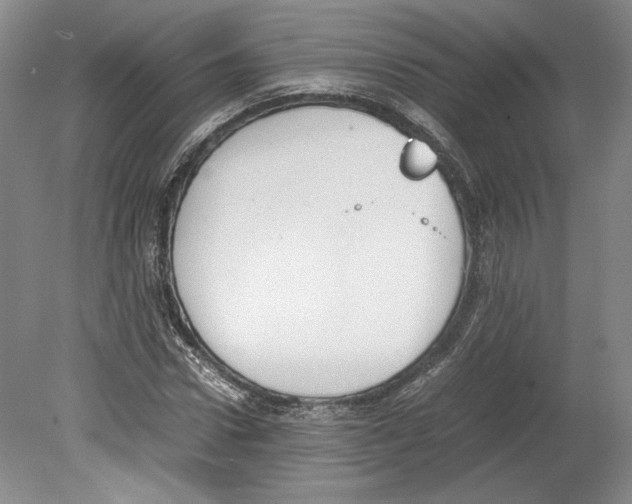 X0000078840922200612111551