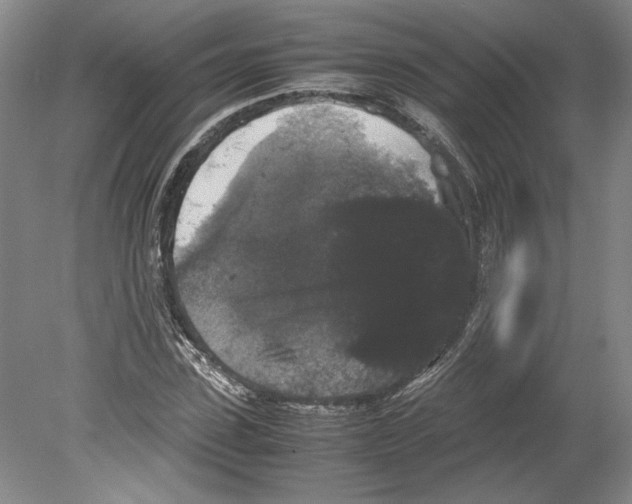 X0000078840923200612111551