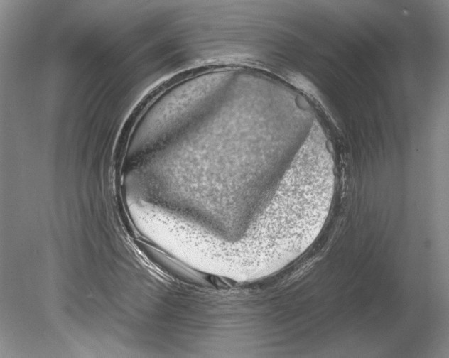 X0000078840924200612111551