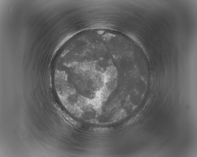 X0000078840925200612111551