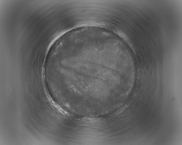 X0000078840928200612111551