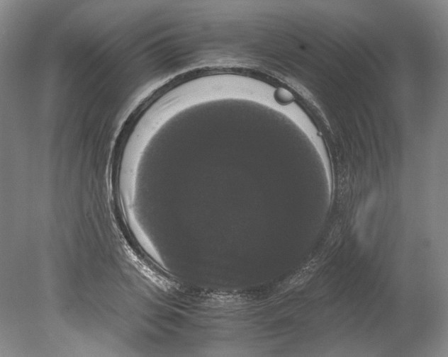 X0000078840935200612111552