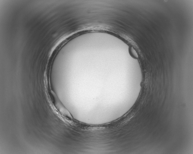 X0000078840936200612111552