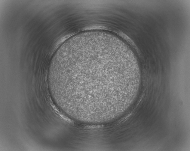 X0000078840937200612111552