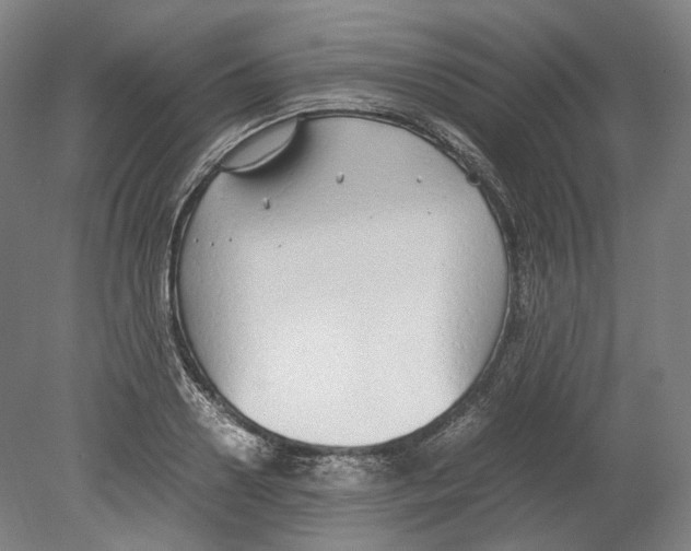 X0000078840938200612111552