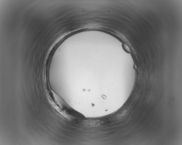 X0000078840939200612111552