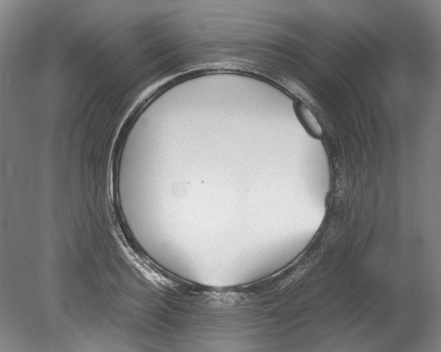 X0000078840940200612111552