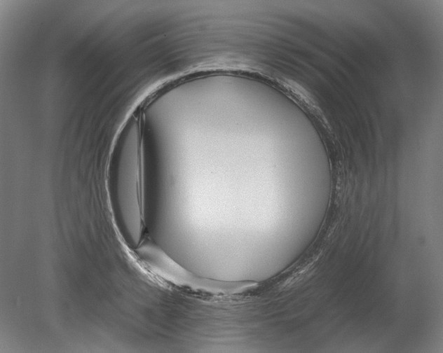 X0000078840942200612111552